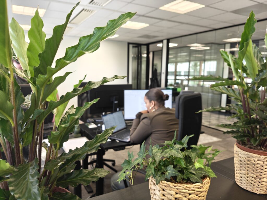 Werken in een groen kantoor
